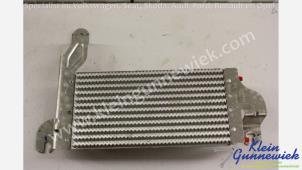 Gebruikte Brandstofkoeler Ford Transit Custom Prijs € 35,00 Margeregeling aangeboden door Klein Gunnewiek Autodemontage & Motorentechniek