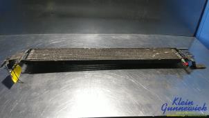 Gebruikte Brandstofkoeler Ford Focus Prijs € 20,00 Margeregeling aangeboden door Klein Gunnewiek Autodemontage & Motorentechniek