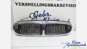 Gebruikte Grille Jaguar X-Type Prijs € 75,00 Margeregeling aangeboden door Klein Gunnewiek Autodemontage & Motorentechniek