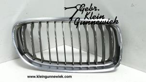 Gebruikte Grille BMW 3-Serie Prijs € 40,00 Margeregeling aangeboden door Gebr.Klein Gunnewiek Ho.BV