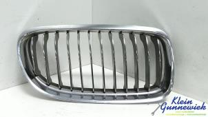 Gebruikte Grille BMW 3-Serie Prijs € 40,00 Margeregeling aangeboden door Klein Gunnewiek Autodemontage & Motorentechniek