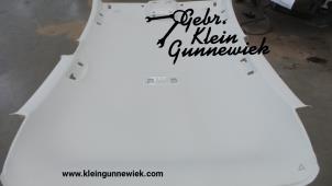 Gebruikte Hemelbekleding Volkswagen Golf Prijs € 135,00 Margeregeling aangeboden door Gebr.Klein Gunnewiek Ho.BV