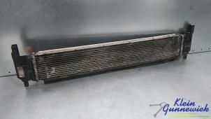 Gebruikte Radiateur Volkswagen E-Golf Prijs € 35,00 Margeregeling aangeboden door Klein Gunnewiek Autodemontage & Motorentechniek