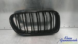 Gebruikte Grille BMW 5-Serie Prijs € 35,00 Margeregeling aangeboden door Klein Gunnewiek Autodemontage & Motorentechniek