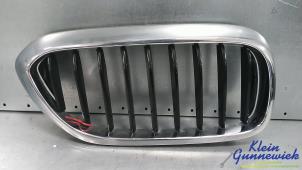 Gebruikte Grille BMW 5-Serie Prijs € 25,00 Margeregeling aangeboden door Klein Gunnewiek Autodemontage & Motorentechniek