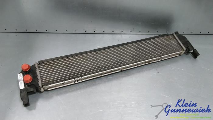 Gebruikte Radiateur Volkswagen E-Golf Prijs € 44,00 Margeregeling aangeboden door Klein Gunnewiek Autodemontage & Motorentechniek