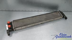 Gebruikte Radiateur Volkswagen E-Golf Prijs € 50,00 Margeregeling aangeboden door Klein Gunnewiek Autodemontage & Motorentechniek