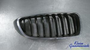 Gebruikte Grille BMW 4-Serie Prijs € 42,00 Margeregeling aangeboden door Klein Gunnewiek Autodemontage & Motorentechniek