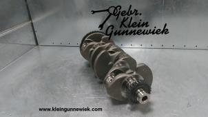 Gebruikte Krukas Volkswagen Tiguan Prijs € 275,00 Margeregeling aangeboden door Gebr.Klein Gunnewiek Ho.BV