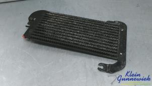 Gebruikte Brandstofkoeler Renault Trafic Prijs € 40,00 Margeregeling aangeboden door Klein Gunnewiek Autodemontage & Motorentechniek