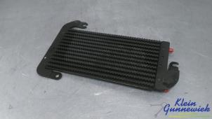 Gebruikte Brandstofkoeler Renault Trafic Prijs € 40,00 Margeregeling aangeboden door Klein Gunnewiek Autodemontage & Motorentechniek