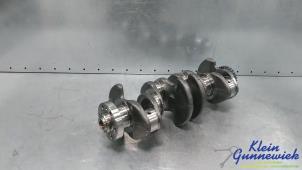 Gereviseerde Krukas Volkswagen E-Golf Prijs € 356,95 Inclusief btw aangeboden door Klein Gunnewiek Autodemontage & Motorentechniek