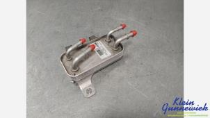 Gebruikte Brandstofkoeler Landrover Discovery Prijs € 75,00 Margeregeling aangeboden door Klein Gunnewiek Autodemontage & Motorentechniek