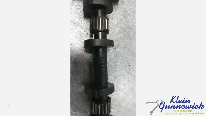 Nokkenas Verstelling van een BMW 2-Serie 2013