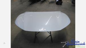 Gebruikte Motorkap Kia EV6 Prijs € 519,00 Margeregeling aangeboden door Klein Gunnewiek Autodemontage & Motorentechniek