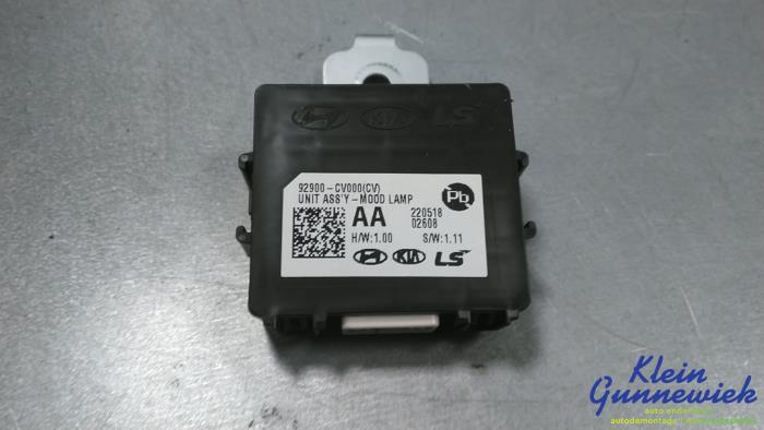 Gebruikte Module (diversen) Kia EV6 Prijs € 40,00 Margeregeling aangeboden door Klein Gunnewiek Autodemontage & Motorentechniek