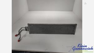 Gebruikte Radiateur BMW X5 Prijs € 95,00 Margeregeling aangeboden door Klein Gunnewiek Autodemontage & Motorentechniek