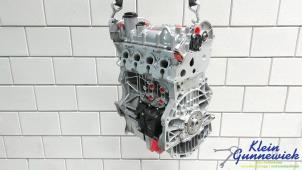 Gereviseerde Motor Volkswagen Polo Prijs € 2.843,50 Inclusief btw aangeboden door Klein Gunnewiek Autodemontage & Motorentechniek