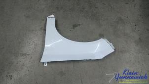 Gebruikte Scherm links-voor Ford Focus Prijs € 75,00 Margeregeling aangeboden door Klein Gunnewiek Autodemontage & Motorentechniek