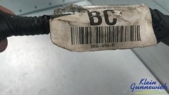 Kabelboom van een Ford Focus 2013