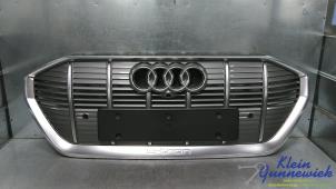 Gebruikte Grille Audi E-Tron Prijs € 325,00 Margeregeling aangeboden door Klein Gunnewiek Autodemontage & Motorentechniek