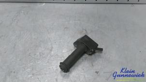 Gebruikte Bobine Ford Fiesta Prijs € 20,00 Margeregeling aangeboden door Klein Gunnewiek Autodemontage & Motorentechniek