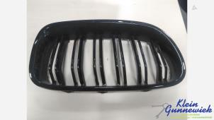 Gebruikte Grille BMW 5-Serie Prijs € 30,00 Margeregeling aangeboden door Klein Gunnewiek Autodemontage & Motorentechniek