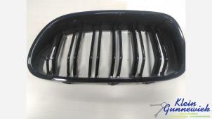 Gebruikte Grille BMW 5-Serie Prijs € 30,00 Margeregeling aangeboden door Klein Gunnewiek Autodemontage & Motorentechniek