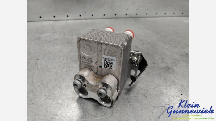 Gebruikte Warmtewisselaar Cupra Formentor Prijs € 185,00 Margeregeling aangeboden door Klein Gunnewiek Autodemontage & Motorentechniek