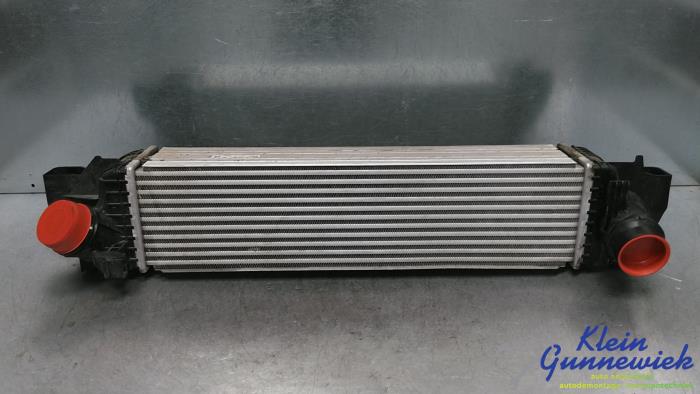 Gebruikte Intercooler Mini Mini Prijs € 115,00 Margeregeling aangeboden door Klein Gunnewiek Autodemontage & Motorentechniek