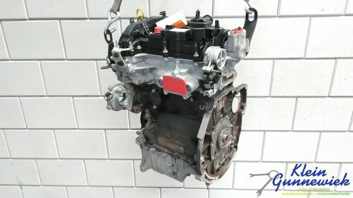 Gebruikte Motor Ford Fiesta Prijs € 1.995,00 Margeregeling aangeboden door Klein Gunnewiek Autodemontage & Motorentechniek