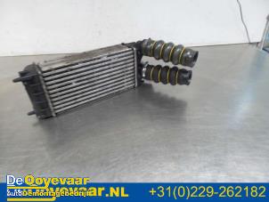 Gebruikte Intercooler Citroen DS4 (NX) 1.6 e-Hdi 16V 110 Prijs € 9,99 Margeregeling aangeboden door Autodemontagebedrijf De Ooyevaar