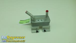 Gebruikte Warmtewisselaar Hyundai Ioniq EV Prijs € 69,99 Margeregeling aangeboden door Autodemontagebedrijf De Ooyevaar