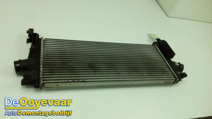 Gebruikte Intercooler Opel Insignia Sports Tourer 1.4 Turbo 16V Ecotec Prijs € 25,00 Margeregeling aangeboden door Autodemontagebedrijf De Ooyevaar