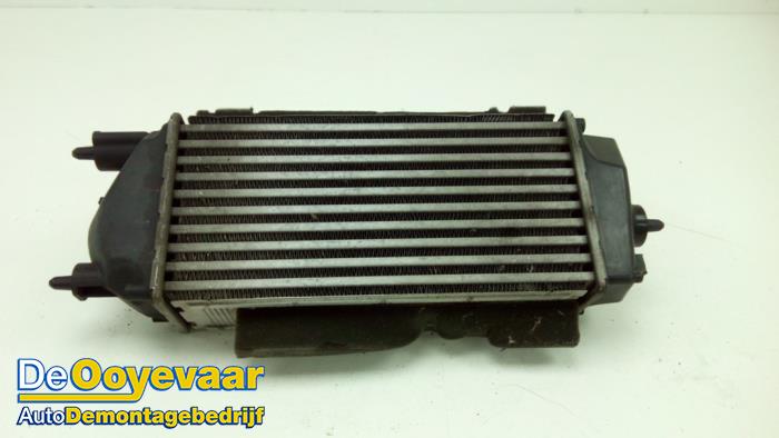 Gebruikte Intercooler Ford EcoSport (JK8) 1.0 EcoBoost 12V 125 Prijs € 29,99 Margeregeling aangeboden door Autodemontagebedrijf De Ooyevaar