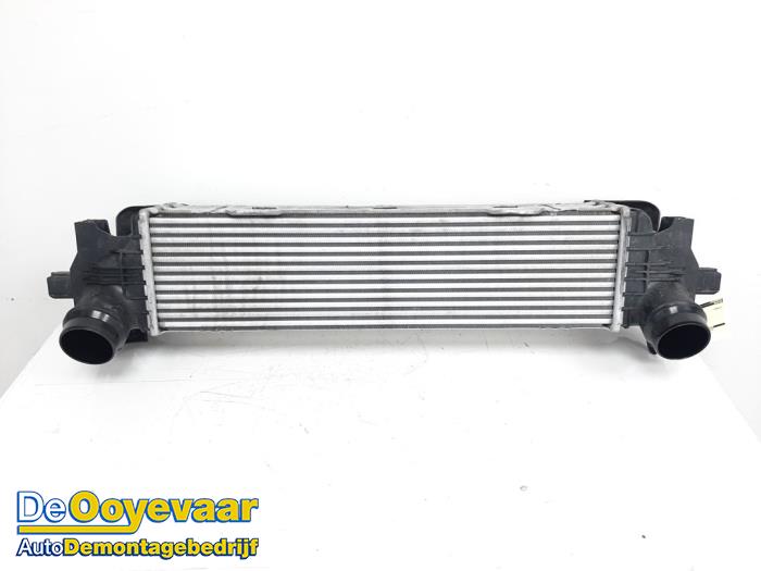Gebruikte Intercooler BMW 5 serie (G30) 530d xDrive 3.0 TwinPower Turbo 24V Prijs € 199,99 Margeregeling aangeboden door Autodemontagebedrijf De Ooyevaar
