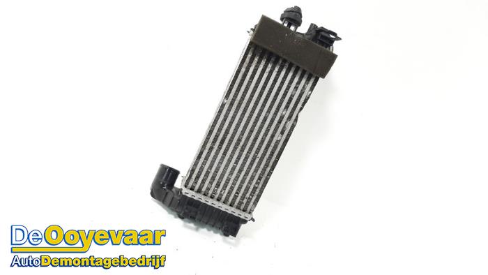 Gebruikte Intercooler Ford Transit Connect (PJ2) 1.6 TDCi 16V 75 Prijs € 39,99 Margeregeling aangeboden door Autodemontagebedrijf De Ooyevaar
