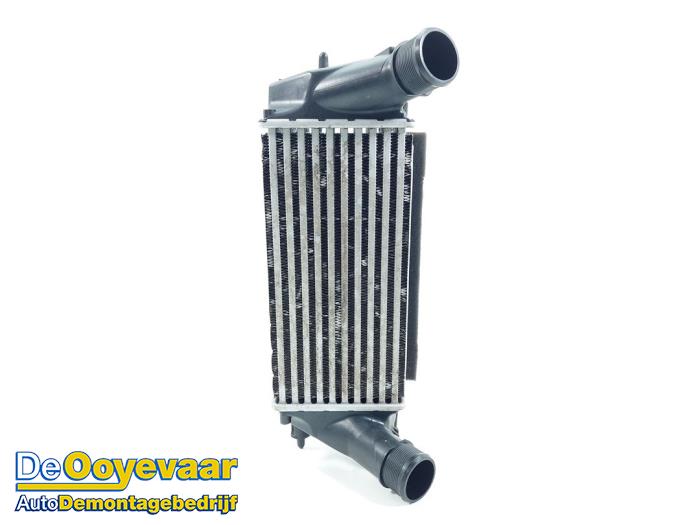 Gebruikte Intercooler Ford EcoSport (JK8) 1.0 EcoBoost 12V 125 Prijs € 29,99 Margeregeling aangeboden door Autodemontagebedrijf De Ooyevaar
