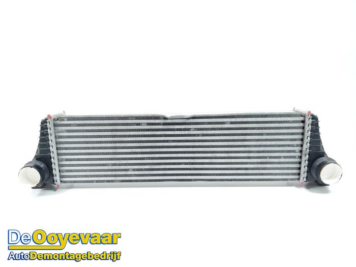 Gebruikte Intercooler Mercedes Vito (639.6) 2.2 110 CDI 16V Euro 5 Prijs € 75,00 Margeregeling aangeboden door Autodemontagebedrijf De Ooyevaar