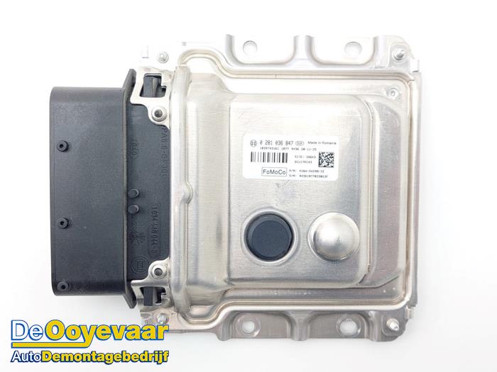 Gebruikte Adblue Computer Ford Transit Connect (PJ2) 1.5 EcoBlue Prijs € 65,00 Margeregeling aangeboden door Autodemontagebedrijf De Ooyevaar