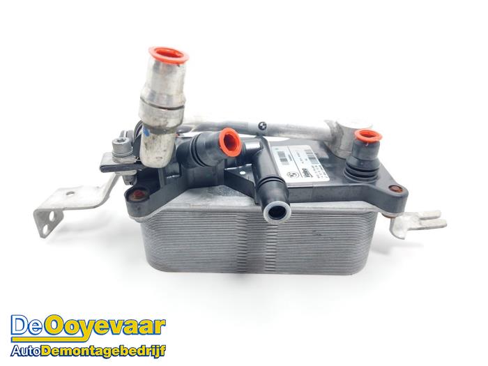Gebruikte Warmtewisselaar BMW 6 serie (F13) 650i xDrive V8 32V Prijs € 19,99 Margeregeling aangeboden door Autodemontagebedrijf De Ooyevaar