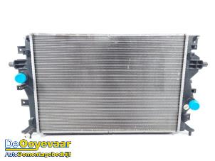 Gebruikte Radiateur Hyundai Ioniq 1.6 GDI 16V Hybrid Prijs € 129,99 Margeregeling aangeboden door Autodemontagebedrijf De Ooyevaar