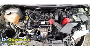 Gebruikte Motor Ford Fiesta 6 (JA8) 1.0 Ti-VCT 12V 65 Prijs € 1.749,99 Margeregeling aangeboden door Autodemontagebedrijf De Ooyevaar