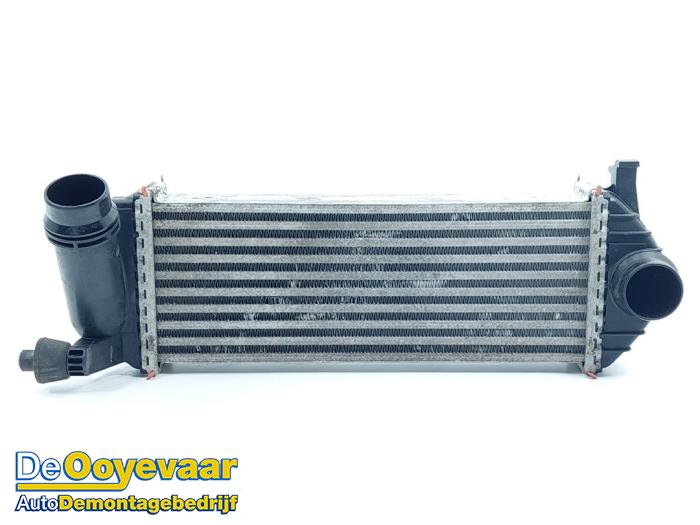 Gebruikte Intercooler Renault Kangoo Express (FW) 1.5 dCi 75 FAP Prijs € 39,99 Margeregeling aangeboden door Autodemontagebedrijf De Ooyevaar