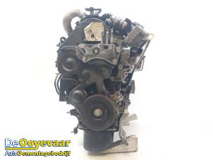 Gebruikte Motor Ford Fiesta 6 (JA8) 1.6 TDCi 16V 75 Prijs € 499,99 Margeregeling aangeboden door Autodemontagebedrijf De Ooyevaar