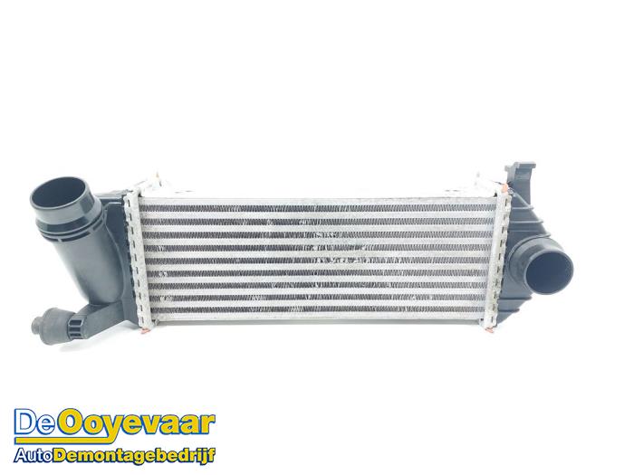 Gebruikte Intercooler Mercedes Citan (415.6) 1.5 109 CDI Prijs € 39,99 Margeregeling aangeboden door Autodemontagebedrijf De Ooyevaar