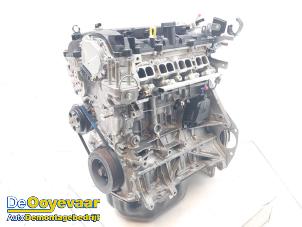 Gebruikte Motor Mazda 3 (BM/BN) 2.0 SkyActiv-G 16V Prijs € 799,99 Margeregeling aangeboden door Autodemontagebedrijf De Ooyevaar