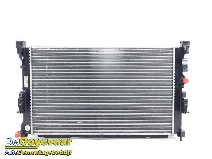 Gebruikte Radiateur Renault Megane E-Tech (RCB) 40 kWh Prijs € 299,99 Margeregeling aangeboden door Autodemontagebedrijf De Ooyevaar