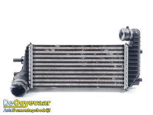 Gebruikte Intercooler Ford Transit Connect (PJ2) 1.6 TDCi 16V 75 Prijs € 39,99 Margeregeling aangeboden door Autodemontagebedrijf De Ooyevaar