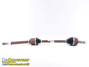 Gebruikte Cardanas rechts-voor (VWA) Renault Master III (ML) 2.3 dCi 145 16V Prijs € 99,99 Margeregeling aangeboden door Autodemontagebedrijf De Ooyevaar